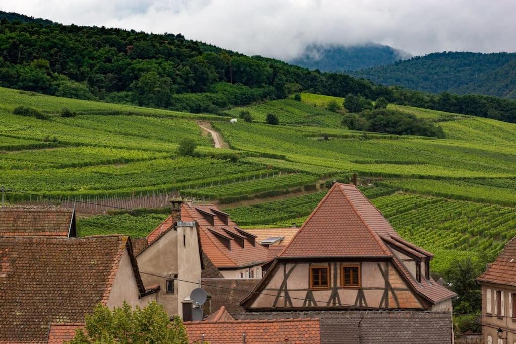 Le Belvedere Alsacien Selestat Exterior photo